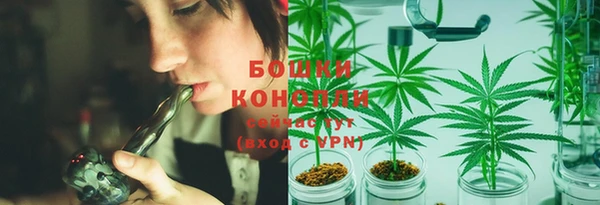 ПСИЛОЦИБИНОВЫЕ ГРИБЫ Володарск
