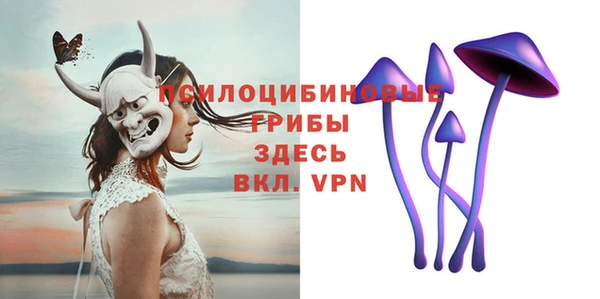 соль ск Тавда