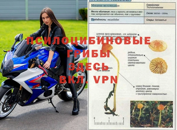 гашишное масло Волоколамск