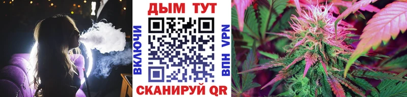 Бошки Шишки VHQ  купить наркотики цена  Бокситогорск 